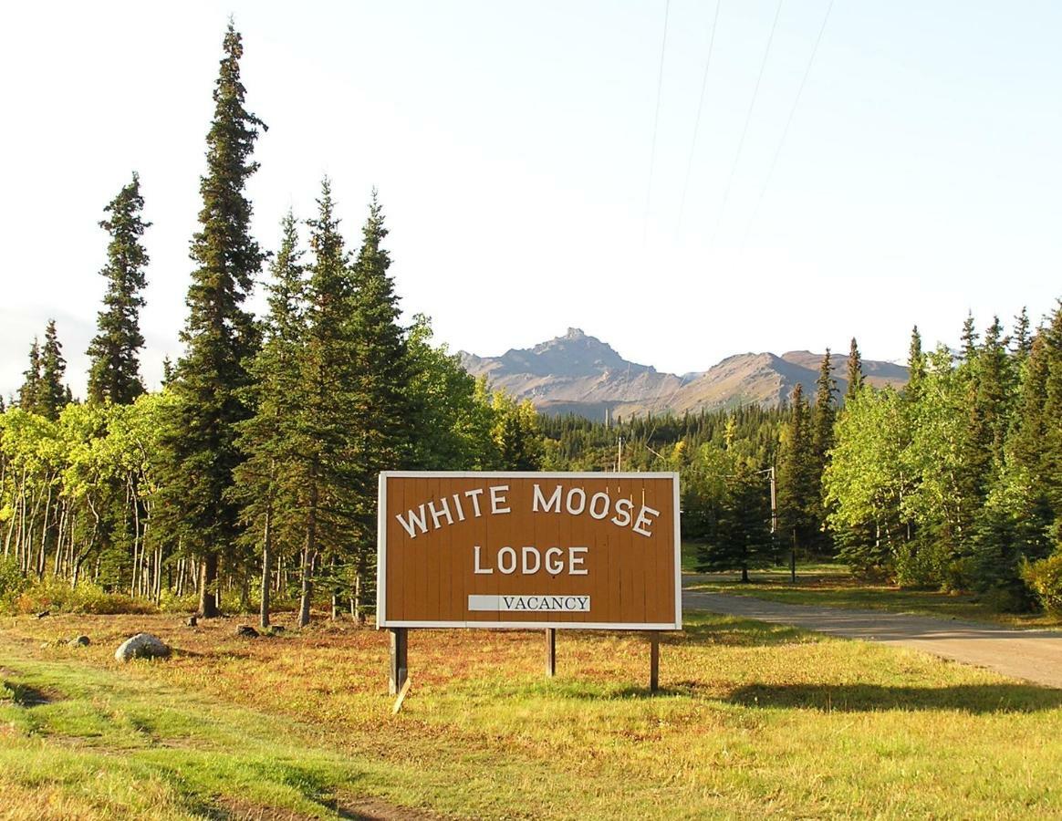 White Moose Lodge Healy Eksteriør billede