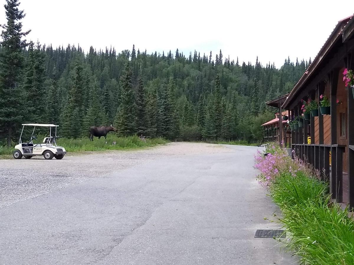 White Moose Lodge Healy Eksteriør billede